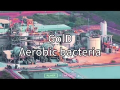 VSA VPSA generador de oxígeno